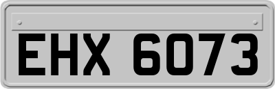 EHX6073