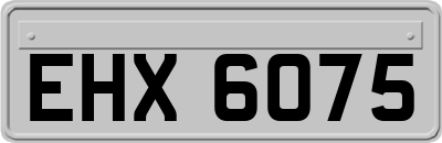 EHX6075