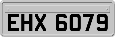 EHX6079