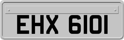 EHX6101