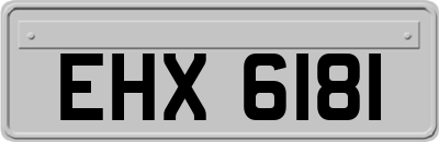 EHX6181