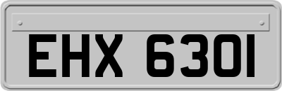 EHX6301