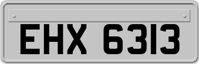 EHX6313