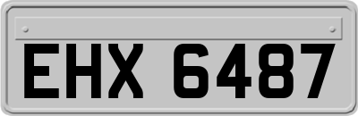 EHX6487