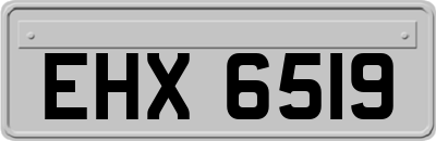 EHX6519