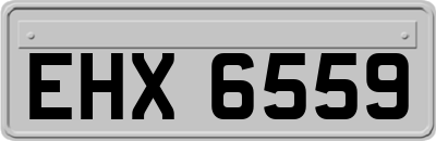 EHX6559