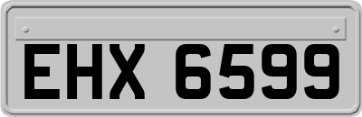 EHX6599