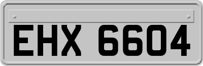 EHX6604