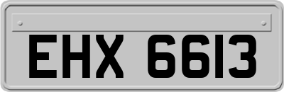 EHX6613
