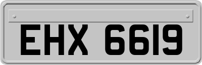EHX6619