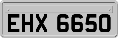 EHX6650