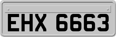 EHX6663