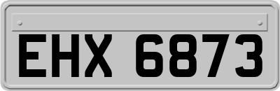 EHX6873