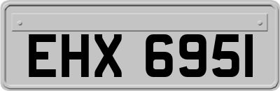 EHX6951