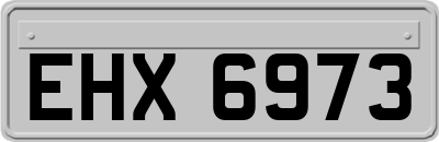 EHX6973