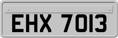 EHX7013