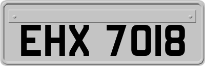 EHX7018