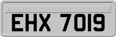 EHX7019