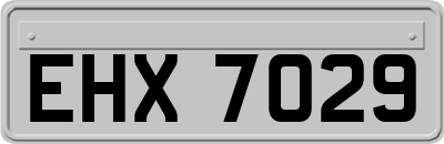 EHX7029