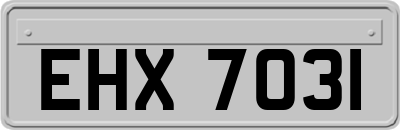 EHX7031