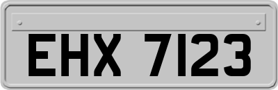 EHX7123
