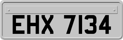 EHX7134
