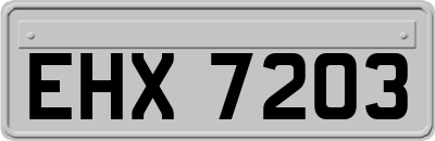 EHX7203