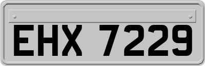 EHX7229