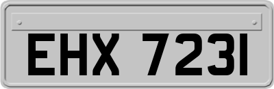 EHX7231