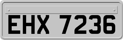 EHX7236