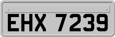 EHX7239