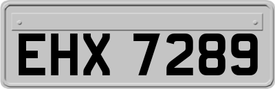EHX7289