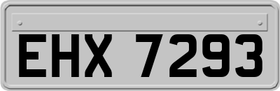 EHX7293