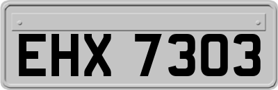 EHX7303