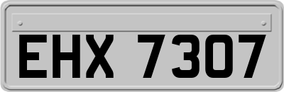 EHX7307