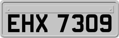 EHX7309