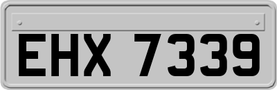 EHX7339
