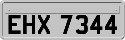 EHX7344