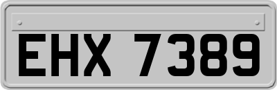 EHX7389