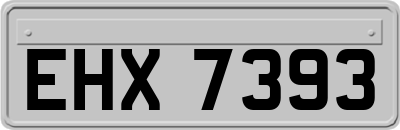 EHX7393