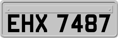 EHX7487