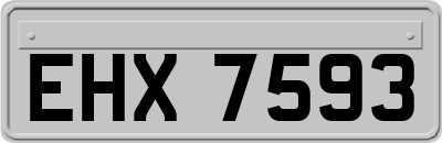 EHX7593