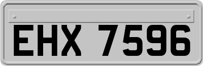 EHX7596