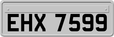 EHX7599