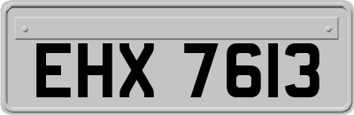 EHX7613