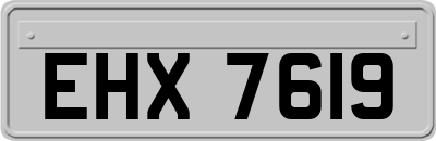 EHX7619