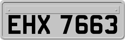 EHX7663