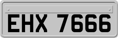 EHX7666