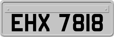 EHX7818