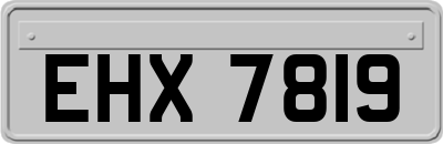 EHX7819